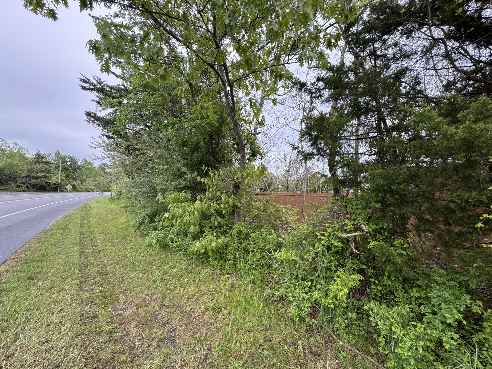 Before: roadside brush overgrowth