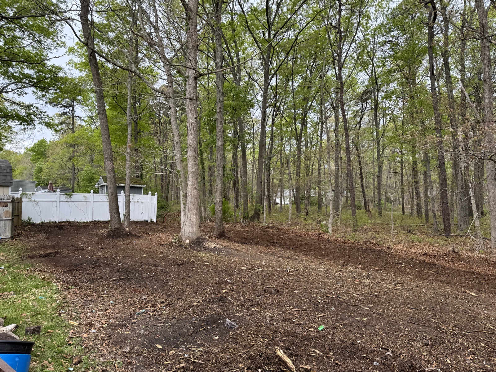 Selective clearing along the property line