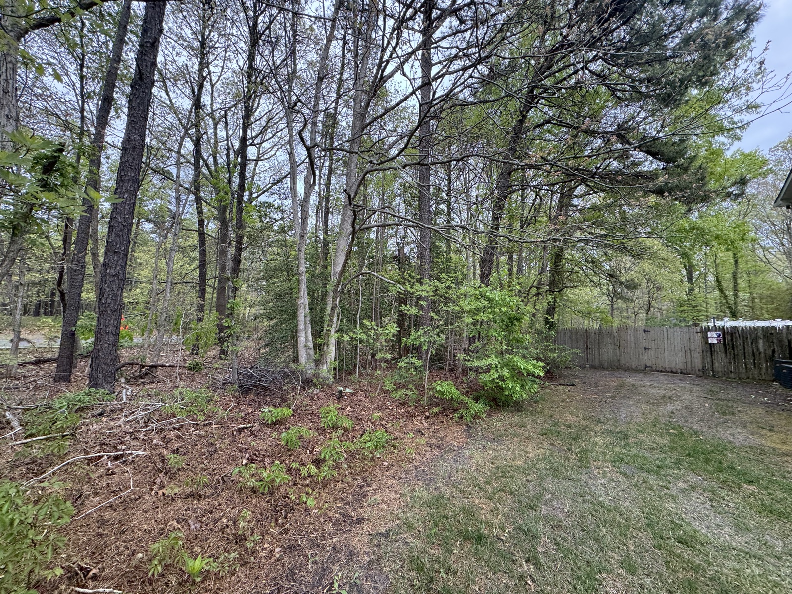 Wooded lot opened up and root-raked