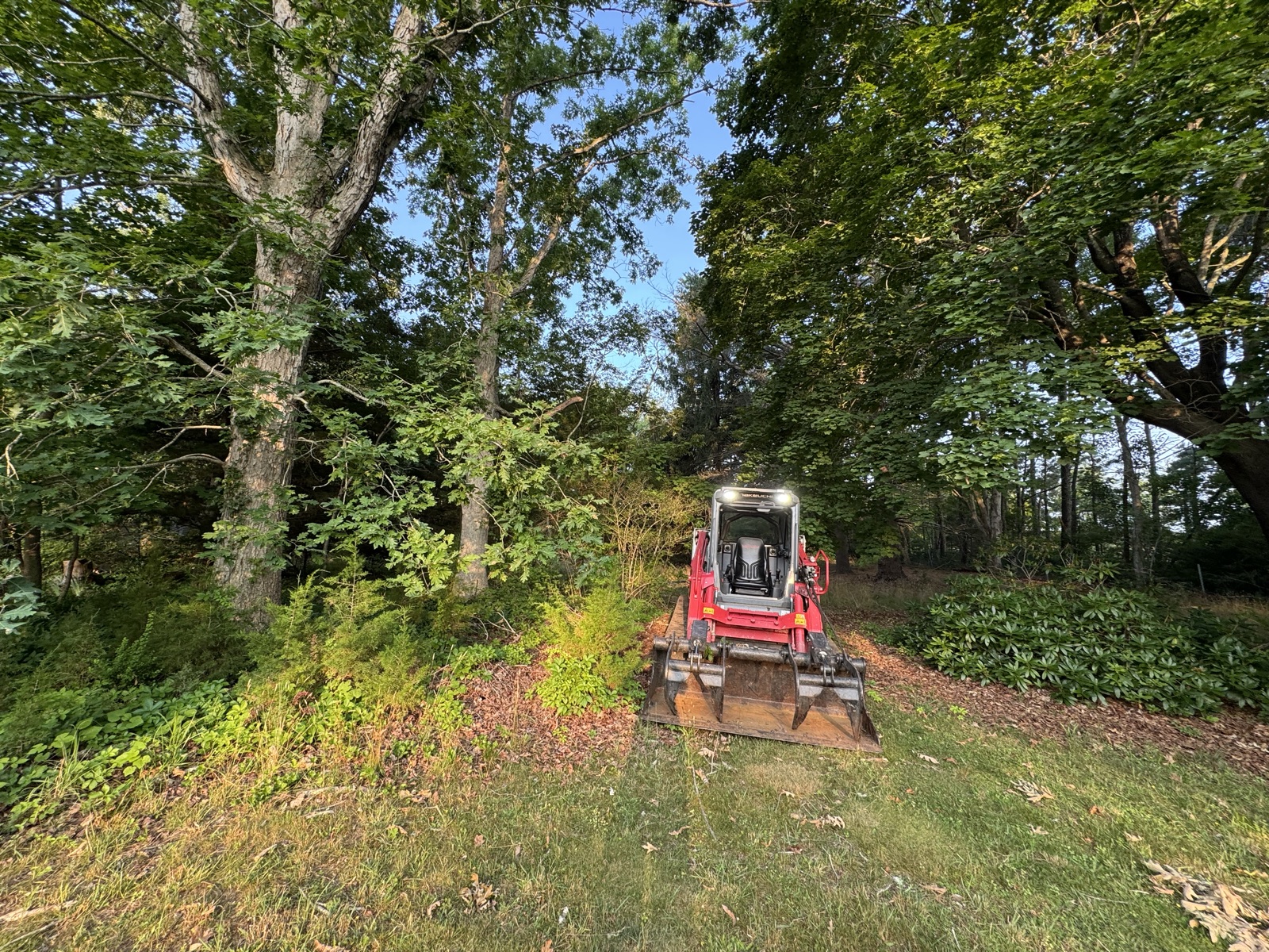 Track loader heading into the brush