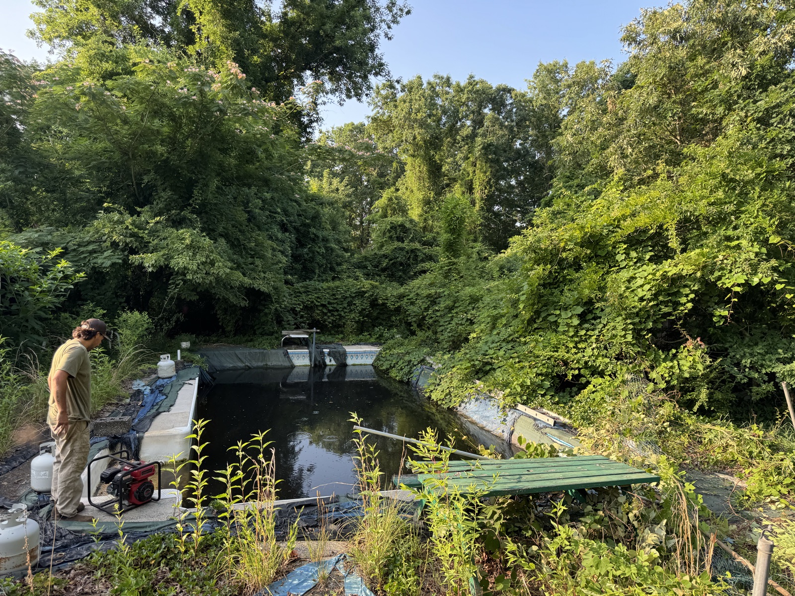 Abandoned pool uncovered during cleanup