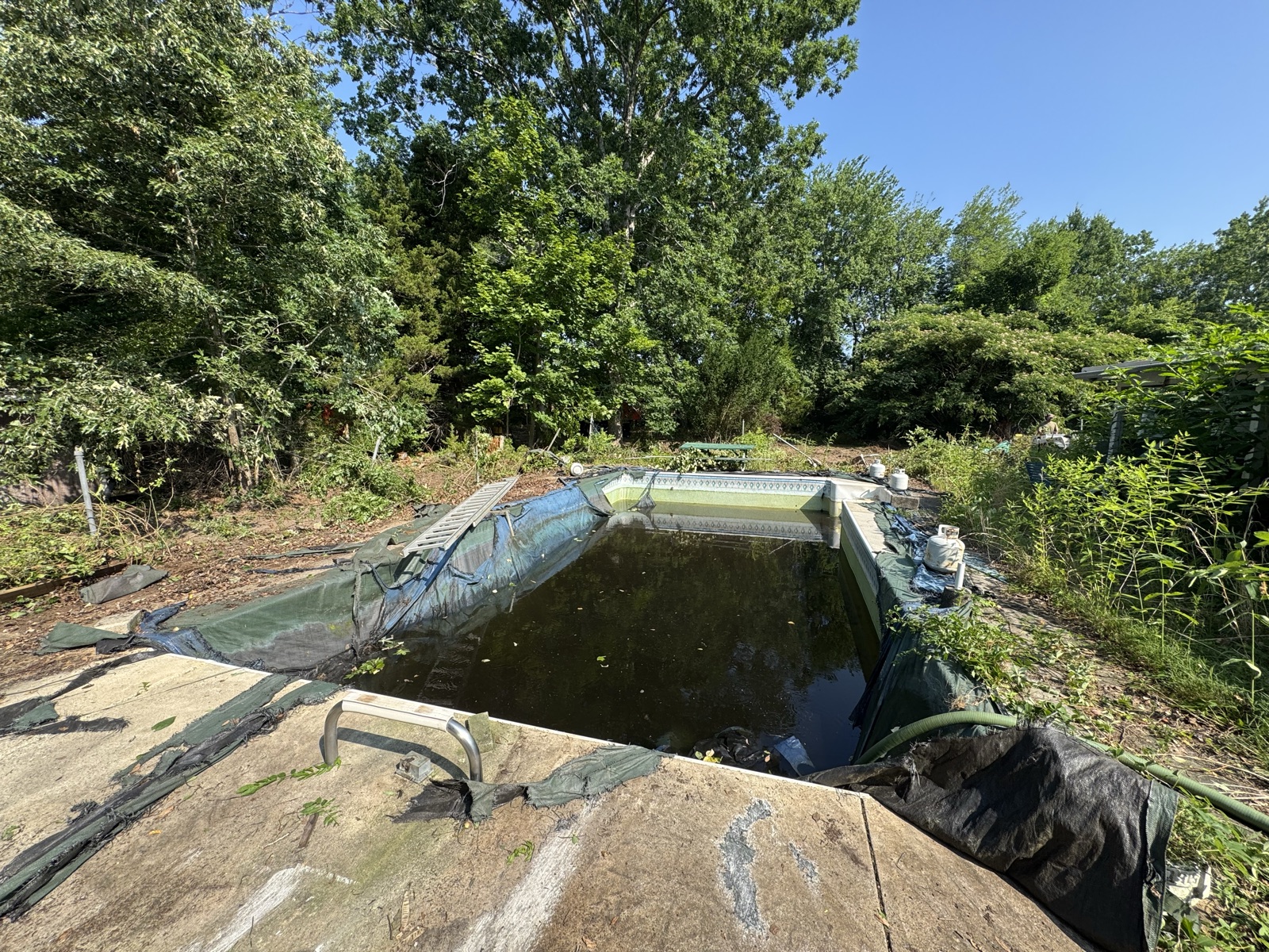 Pool area cleared and prepped for removal