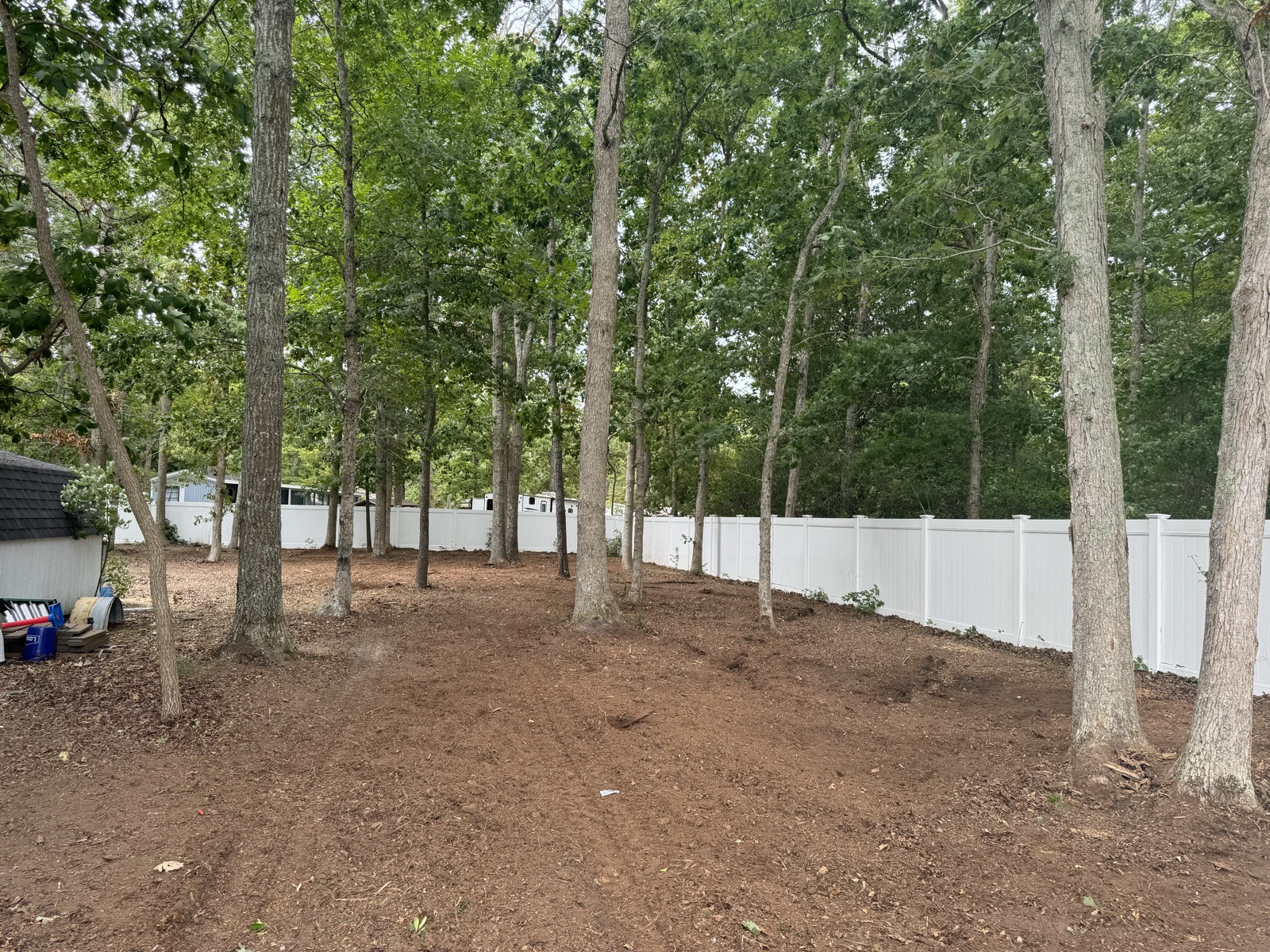 After: same yard, cleared to the fence line