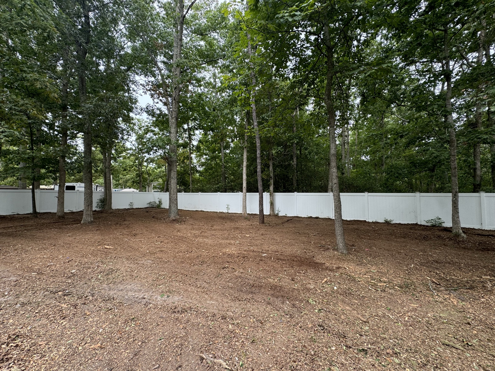After: clean, usable backyard